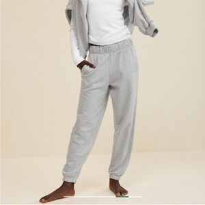 Aerie Jet Setter Jogger Heather Grey Size XS Gently Worn
